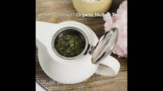 Benefits of Organic Mullein Tea [upl. by Attenor179]