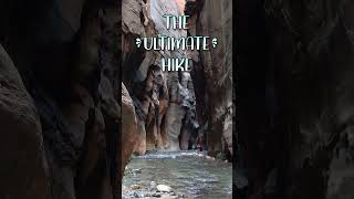 The Narrows Zions Most Epic Hike and Unforgettable Experience travel adventure nature utah [upl. by Ieluuk220]