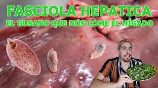 Fasciola hepatica El gusano que nos come el hígado  FEFEFOOD [upl. by Meil831]