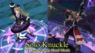 Toram Online  Solo Knuckle Vs Gegner Very Hard Mode [upl. by Eiraminot]