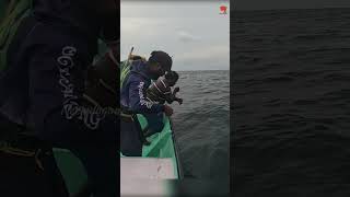 Catching King Fish in the Deep Sea fishing fishingvideo oceanfishing [upl. by Nnaear]