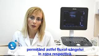 Ecografia Doppler carotidovertebrala  Dr Alina Jdirea [upl. by Yttap905]