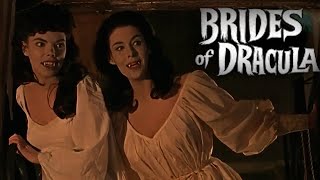 The Brides of Dracula The Vampiress Film Recap [upl. by Auoh]