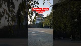 odawara odawaracastle kanagawa japan travel bestplacestotravelinjapan topspot travelvlog [upl. by Ahsatal]