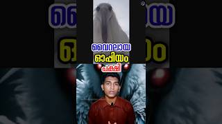 ഹിപ്നോട്ടിസ് ചെയ്ത് ഇരയെ കൊല്ലുന്ന പക്ഷി opium bird Erosion Bird malayalam [upl. by Licht]