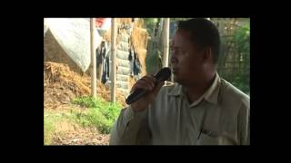 Nepal Today Episode 111 Story of Bee farming in Ktm and Sarlahi [upl. by Werdn322]