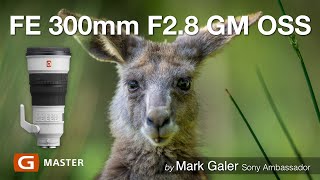 Sony FE 300mm F28 GM Lens ON LOCATION [upl. by Airtina]