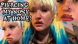 Piercing my nose at home do not try [upl. by Eniawtna]