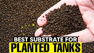 Which Is The Best Substrate For Planted Tanks Top 7 [upl. by Sasnett]