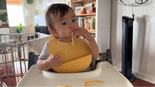 【Baby eating】12mo eating cod roe cream fettuccine😋 [upl. by Ikeda444]