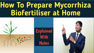 How to Prepare Mycorrhiza Biofertilizer at HomeVAMRohit Mane Scientistracademy [upl. by Chrystal453]