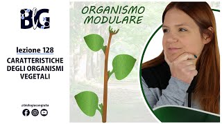 CARATTERISTICHE degli ORGANISMI VEGETALI  INTRODUZIONE alla BOTANICA [upl. by Sascha155]