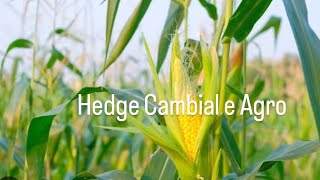 Compilado Mestre dos Derivativos Hedge Cambial e Agrícola 2022 [upl. by Ennaed]