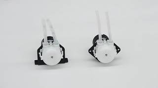 PPA 24V Liquid Peristaltic Pump for Filling Machine Membrane Switches BPT tubing food grade [upl. by Ettelocin672]