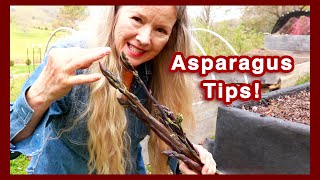 HUGE Garden Tour Asparagus Tips  Enlightening Book [upl. by Darton165]