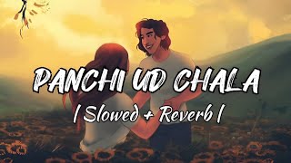 Panchi Ud Chala  Slowed  Reverb  New Hindi Song  Lofi Reverb [upl. by Haimaj154]