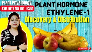 Plant Hormone Ethylene Part1 Discovery  Structure  Distribution  Occurrence  Phytohormones [upl. by Nevak]