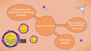 Tema de Isospora belli y Blastocystis hominis [upl. by Holtorf]