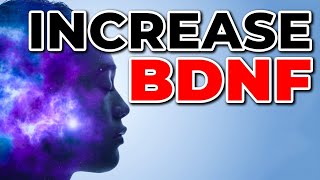 How To Increase BDNF BDNF Boosting Supplements Herbs amp Exercise [upl. by Rouvin]