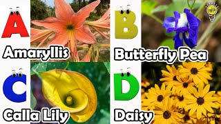 Flowers Alphabet Song  Flowers ABC Song  A to Z Flowers Names  Phonics for Kids [upl. by Felske225]