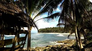 Peaceful Ocean Waves Tropical Paradise for Relaxation Enjoyment Calmness asmr watersounds waves [upl. by Arihas157]