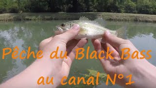 Pêche du Black Bass au canal N° 1 HD [upl. by Aicyla]