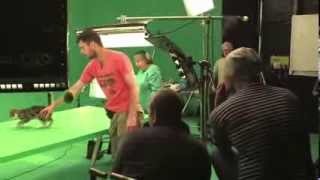 Making of the Feliway Advert behind the scenes and interviews [upl. by Ettelracs]