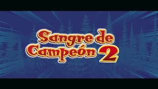 SANGRE DE CAMPEÓN 2  CarlosCuauhtemocS [upl. by Ydda435]