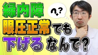 緑内障で眼圧正常でも眼圧下げろと言われるのは納得できない [upl. by Ojimmas]