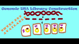 Genomic DNA Library Telugu [upl. by Aicena]