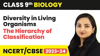 The Hierarchy of Classification  Diversity in Living Organisms  Class 9 Biology  202324 [upl. by Yclek390]