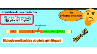 فيديوا يشرح مبدأ عمل lopéron lactose🤔هام جدااا⁦⚠️⁩ [upl. by Georgianne]