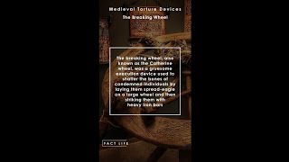 Facts About Medieval Torture Devices The Breaking Wheel shorts [upl. by Malinowski]