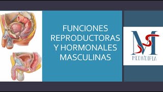 HORMONAS SEXUALES MASCULINAS [upl. by Eniamart454]