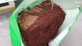 How to prepare cocopeat for plants  how to use cocopeat block  sheeba Vlogs [upl. by Alleinad]