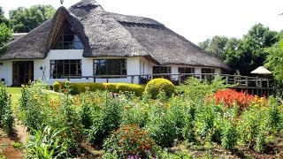 Ngorongoro Farm House [upl. by Einaeg]