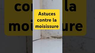 Astuce rapide contre la moisissure [upl. by Sutniuq]