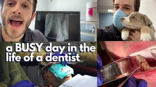 A BUSY day in the life of a dentist  DENTAL VLOG follow along with me [upl. by Hadleigh]