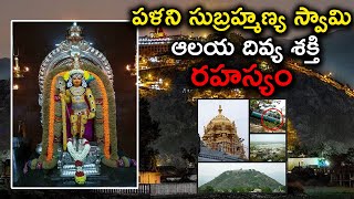 Palani Murugan Temple Incredible Secrets  పళని సుబ్రహ్మణ్య స్వామి ఆలయ ప్రత్యేకత  Punyakshetralu [upl. by Grunenwald]