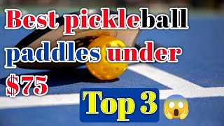 Unveiling the Best Pickleball Paddles Under 75 [upl. by Saticilef]