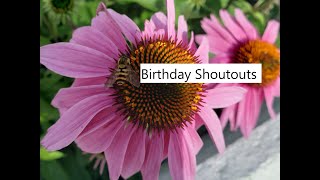 November Birthday Shoutouts [upl. by Hauck707]