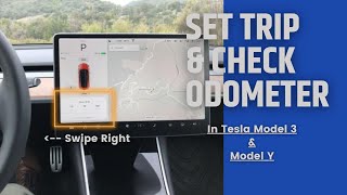 Tesla How to check Odometer amp set trips [upl. by Nivlac]