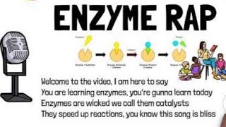 ENZYME RAPSONG GCSE Updated 91 Unit 1 Revision  A Grade  KS4 Science  IGCSE Biology [upl. by Uchish800]