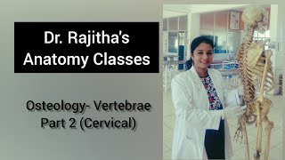 Osteology of Vertebrae Part 2 Cervical by Dr Rajitha Vanga [upl. by Copeland]