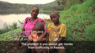 Documentary Itineris Fair Trade Coffee from Kivu [upl. by Medorra]