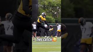 Minkah Fitzpatrick just made an insane catch at Steelers practice 👀🙌 nfl [upl. by Eaver738]