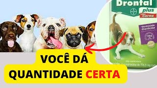 QUANDO DAR VERMÍFUGO PARA CACHORRO QUAL MELHOR REMÉDIO BARATO MATA VERMES DOS CÃES E DOSE DE DRONTAL [upl. by Jacinda]