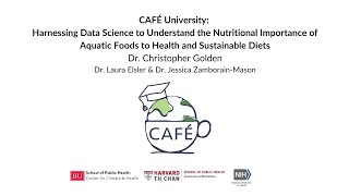 CAFE University Harnessing Data Science to Understand the Nutritional Importance of Aquatic Foods [upl. by Eirffej]