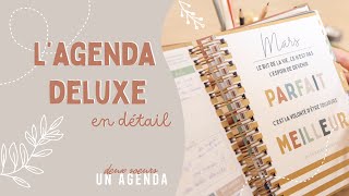 LAgenda parfait pour vous organiser au quotidien  Deux Soeurs Un Agenda [upl. by Spatz]