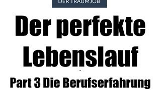 Wie man einen professionellen Lebenslauf in 30 Minuten erstellt  Part 3 Die Berufserfahrung [upl. by Avilo]